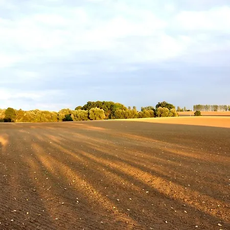 公寓 Battin 44 Uckermark Brussow