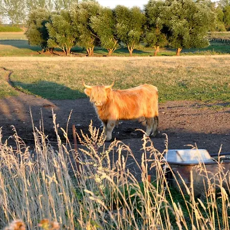 Battin 44 Uckermark * Brussow