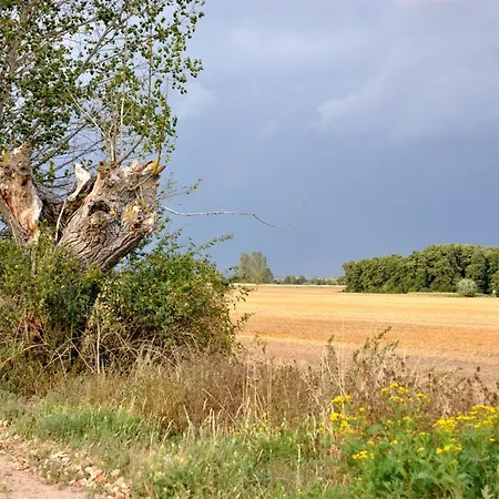 דירה Battin 44 Uckermark Brussow