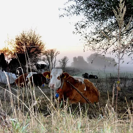 Battin 44 Uckermark Appartement Brussow