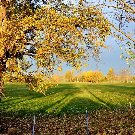 Battin 44 Uckermark *