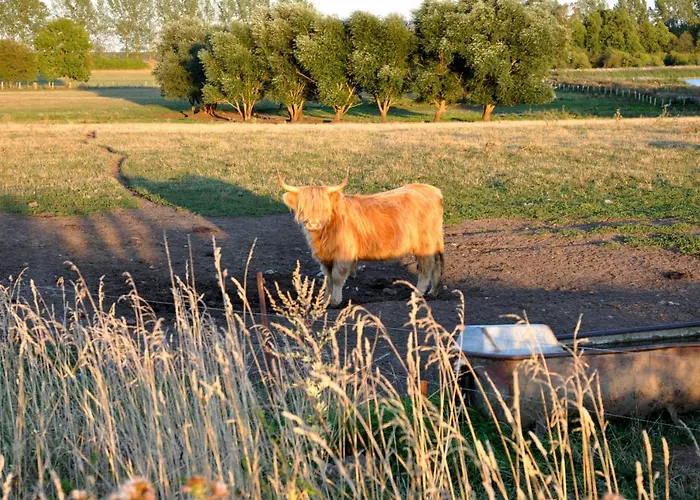 Battin 44 Uckermark * Brussow