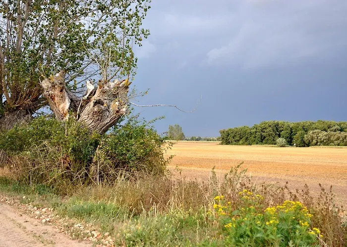 Apartamento Battin 44 Uckermark Brussow