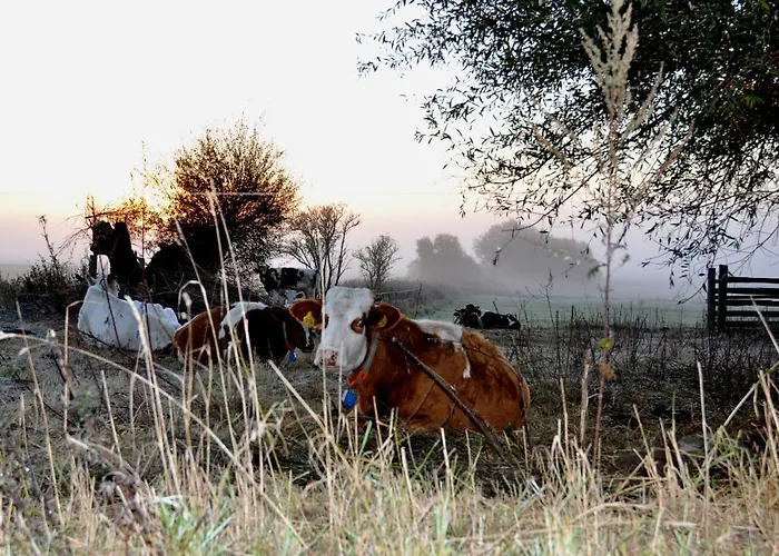 Battin 44 Uckermark Apartamento Brussow