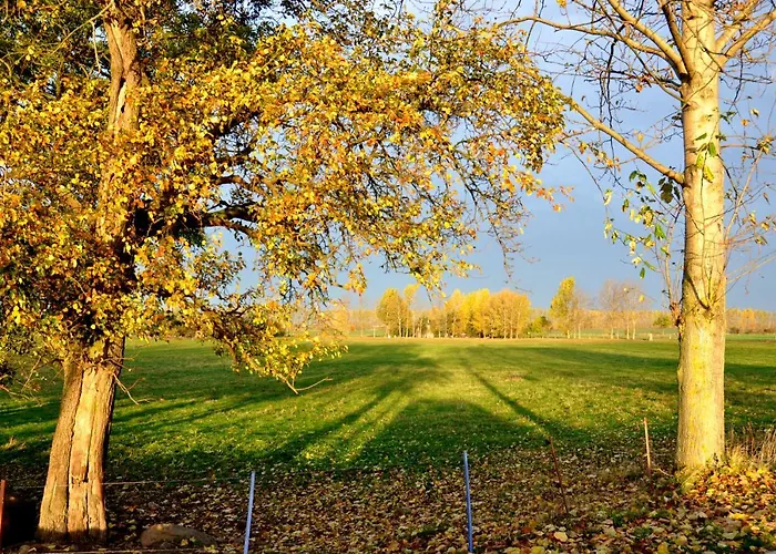 Battin 44 Uckermark *